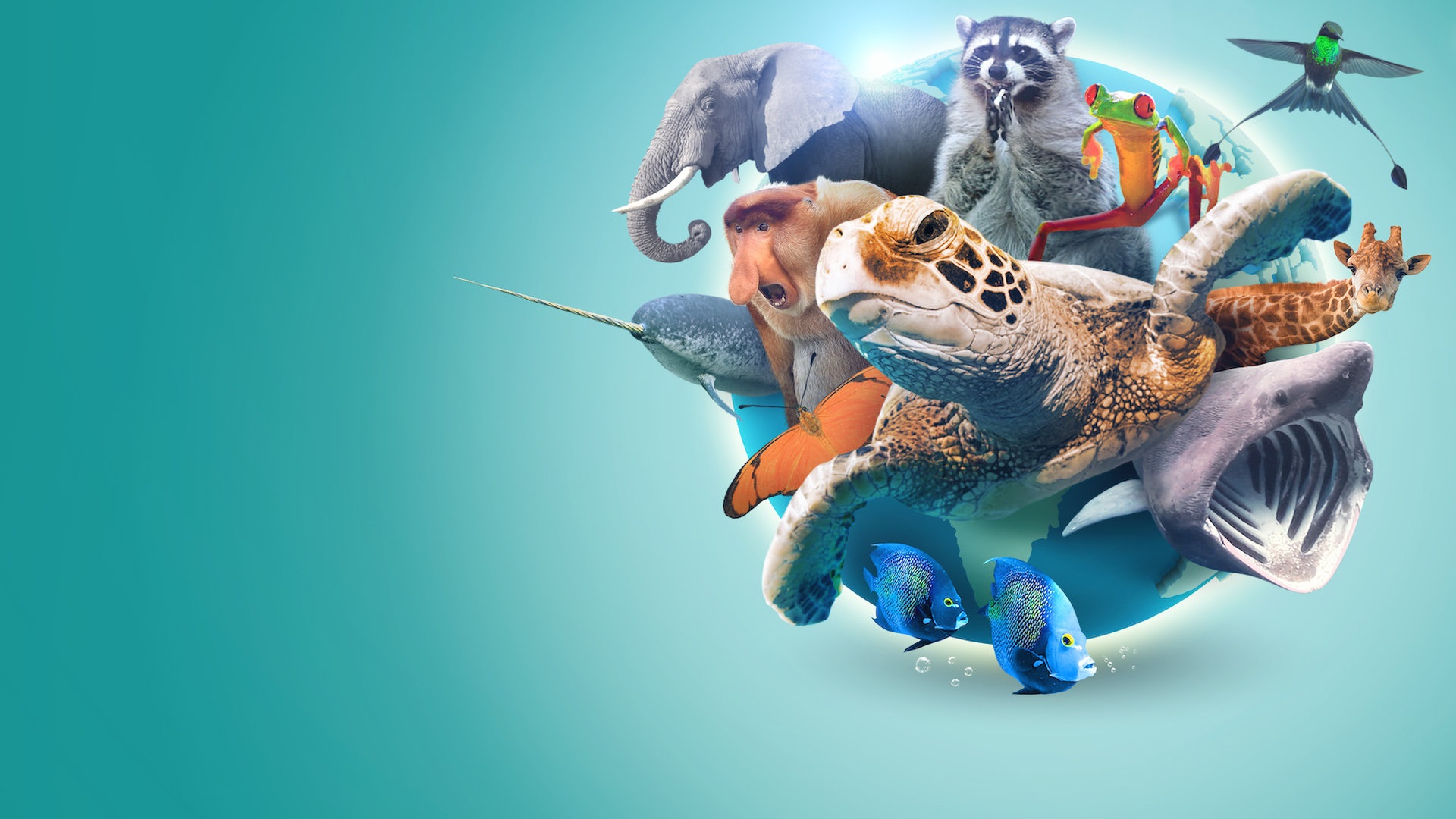 Absurd Planet 1. Sezon 5. Bölüm