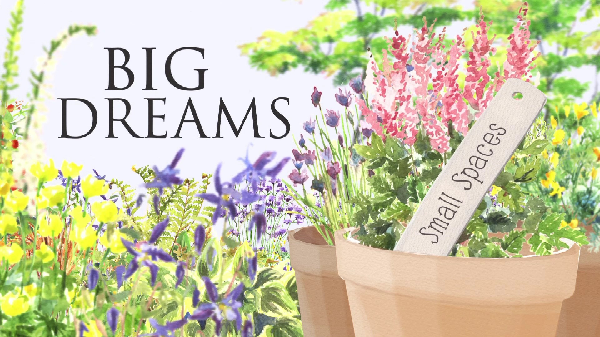 BIG DREAMS Small Spaces 3. Sezon 4. Bölüm