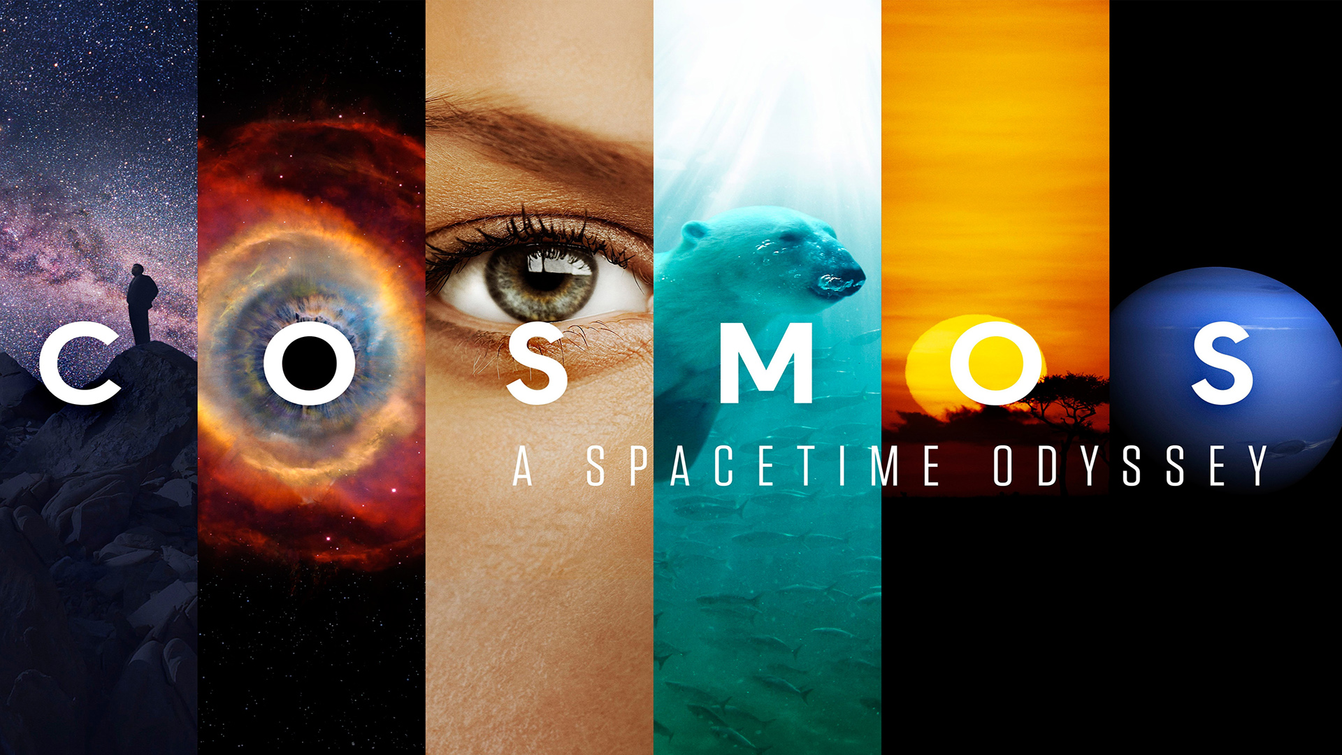 Cosmos: A SpaceTime Odyssey 1. Sezon 1. Bölüm