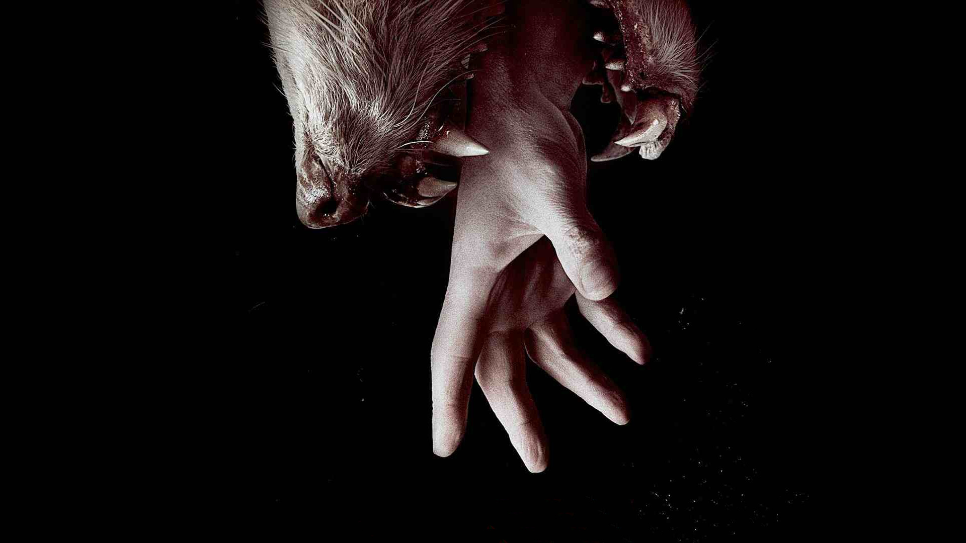 Hemlock Grove 2. Sezon 5. Bölüm
