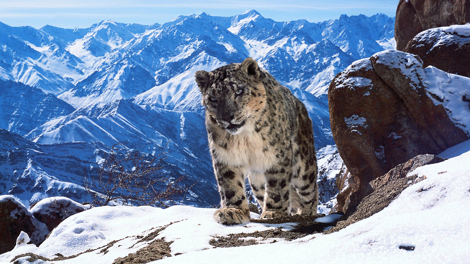 Planet Earth II 1. Sezon 3. Bölüm