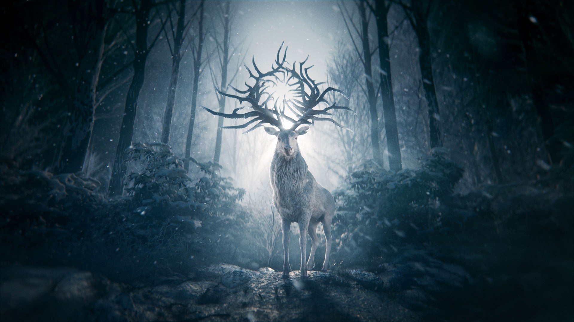 Shadow and Bone 1. Sezon 2. Bölüm
