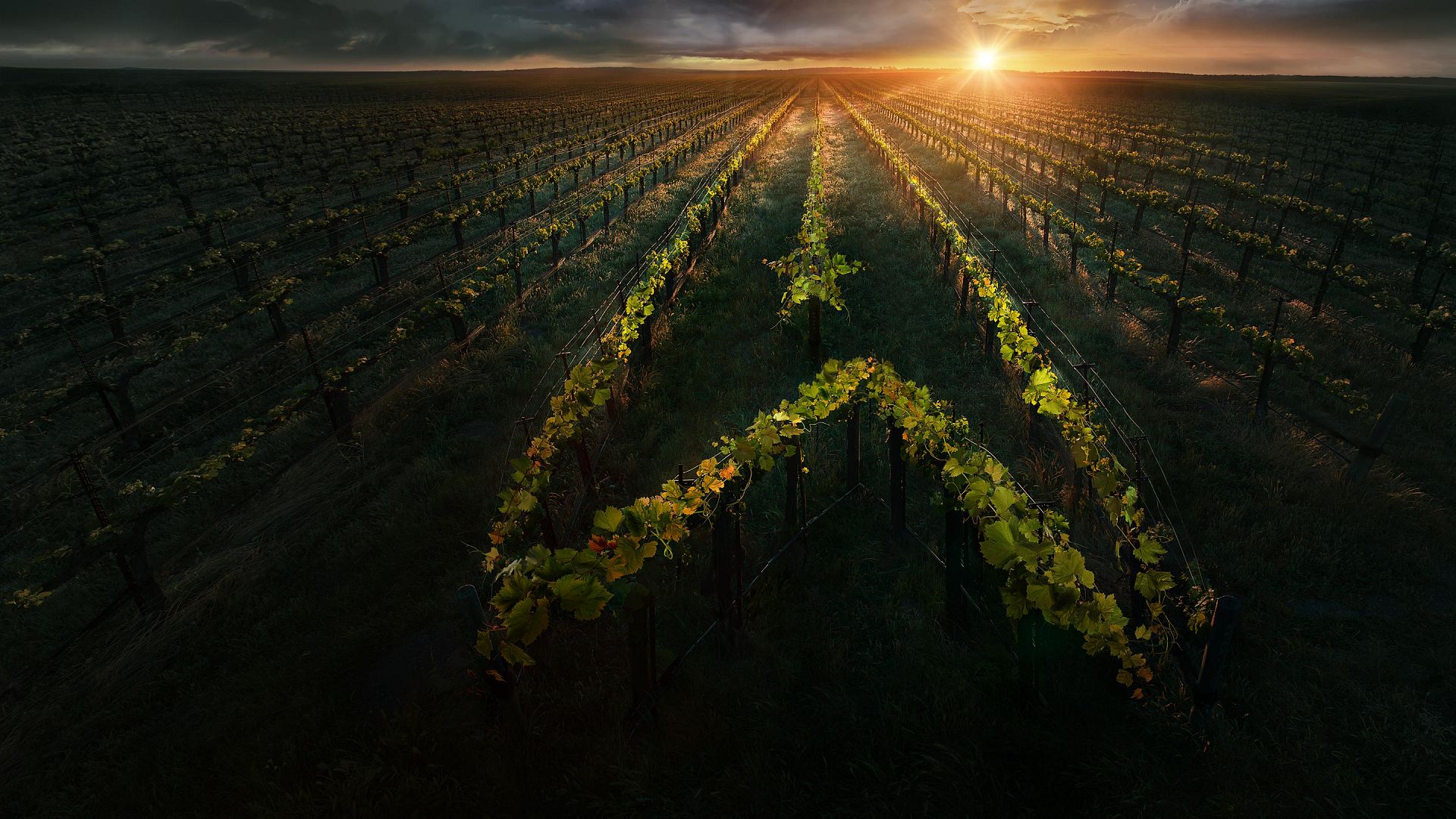 Star Trek: Picard 3. Sezon 6. Bölüm