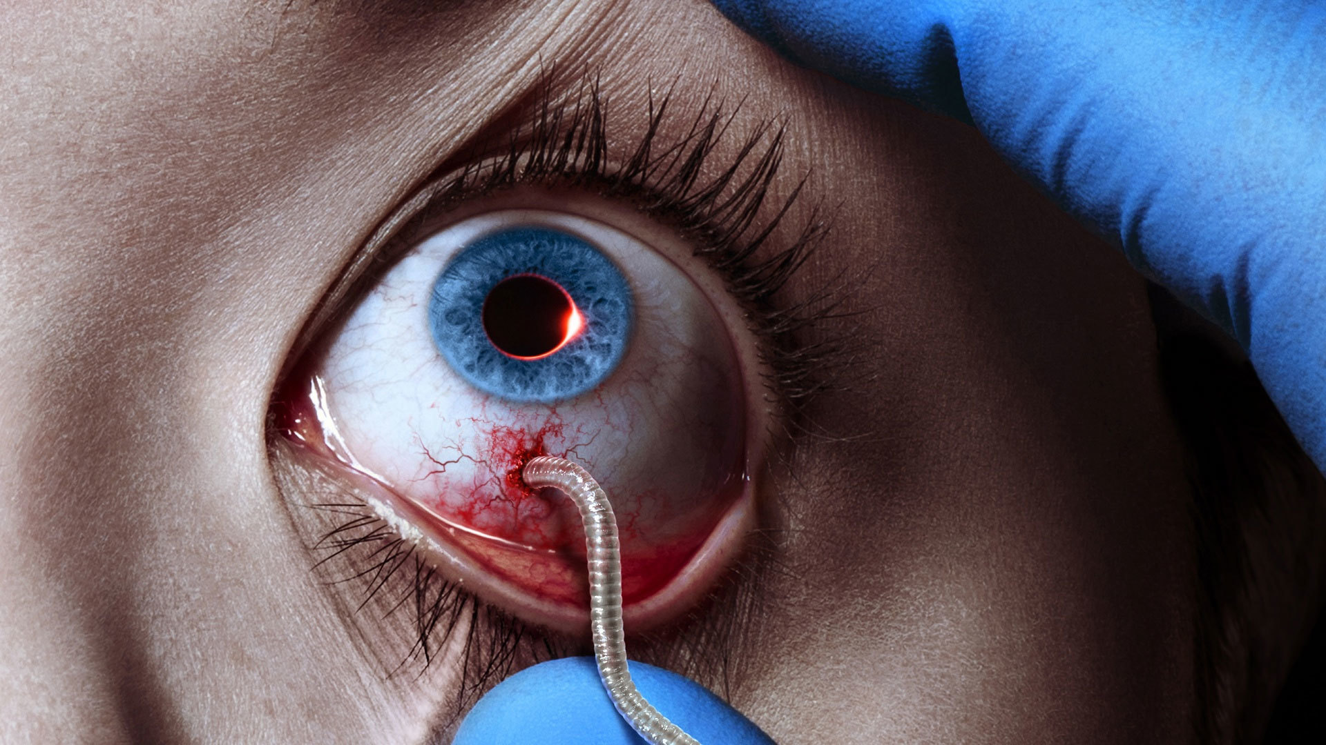 The Strain 1. Sezon 1. Bölüm