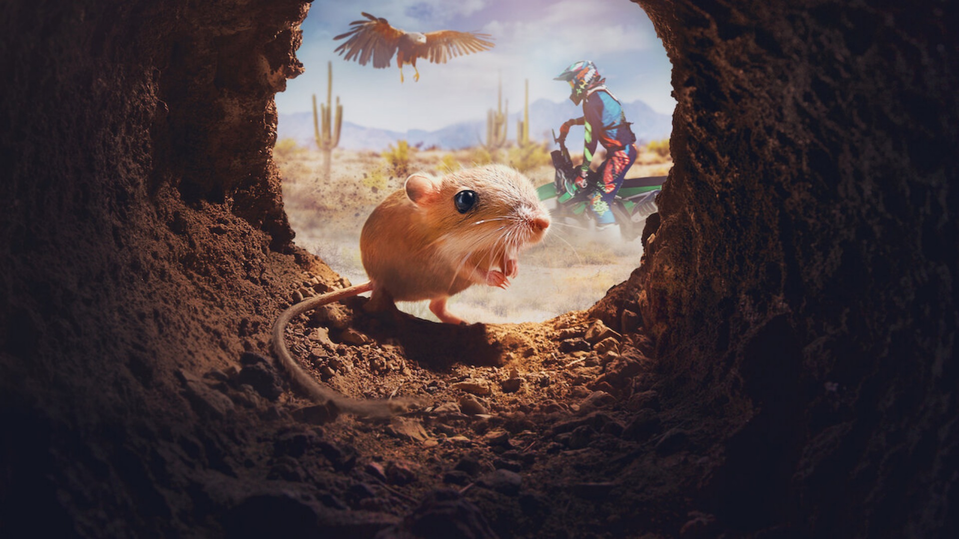 Tiny Creatures 1. Sezon 4. Bölüm