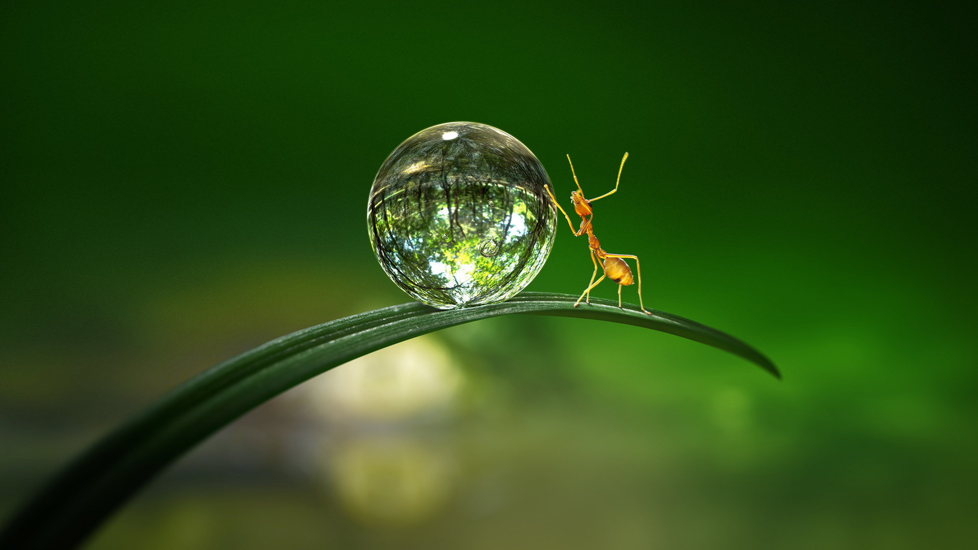 Tiny World 1. Sezon 1. Bölüm
