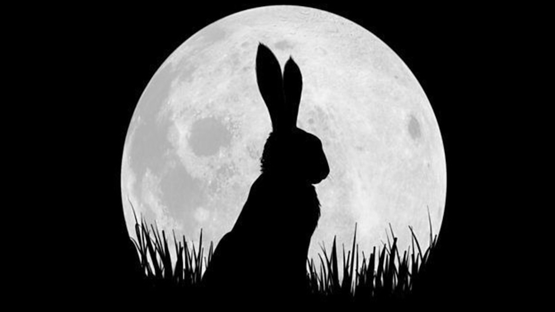 Watership Down 1. Sezon 3. Bölüm