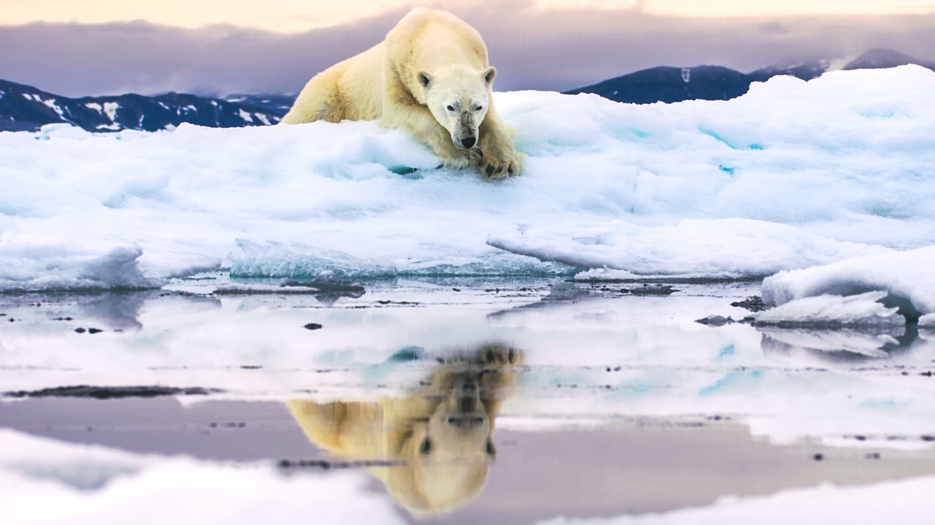 Frozen Planet II 1. Sezon 6. Bölüm