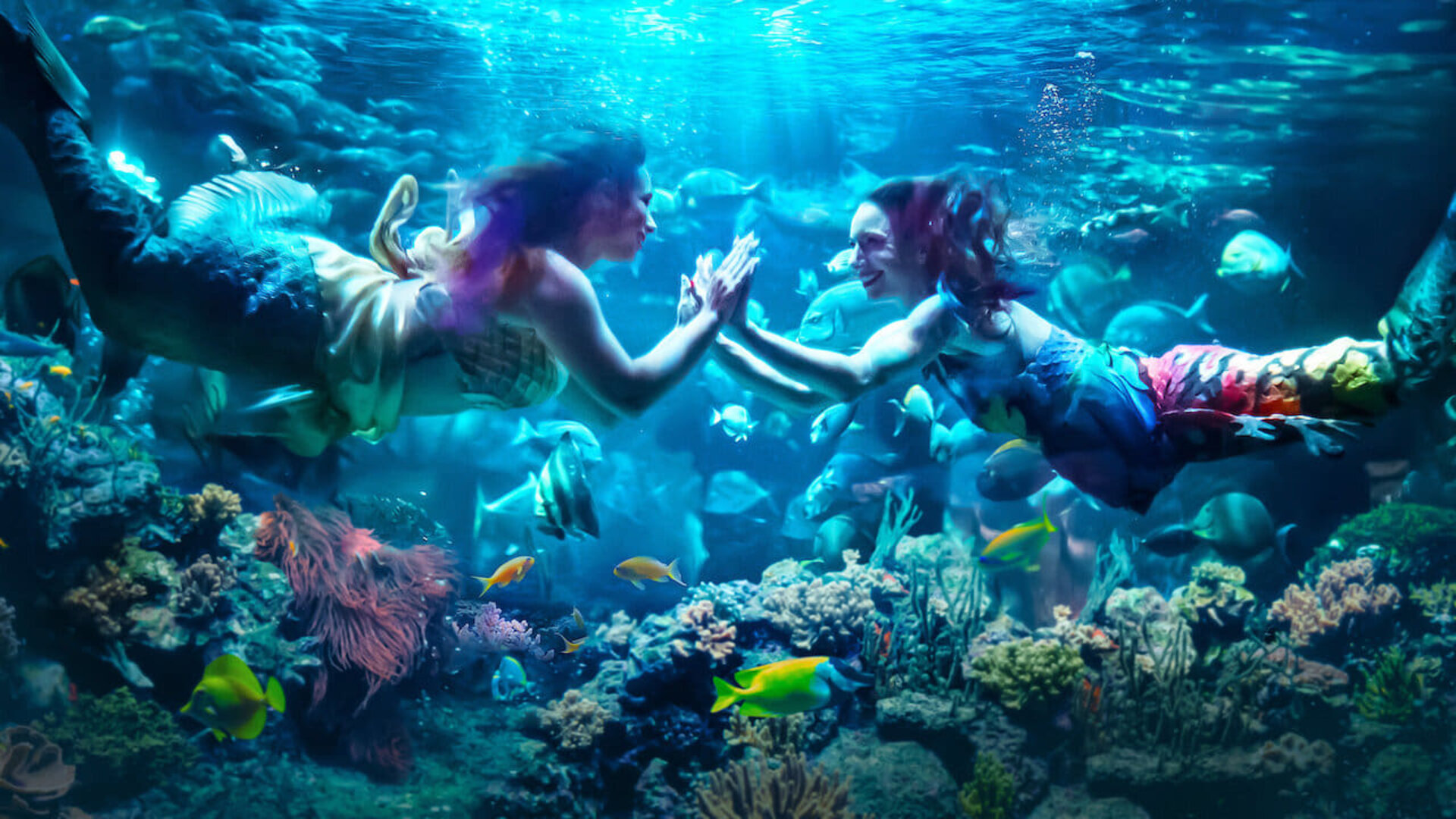 MerPeople 1. Sezon 3. Bölüm