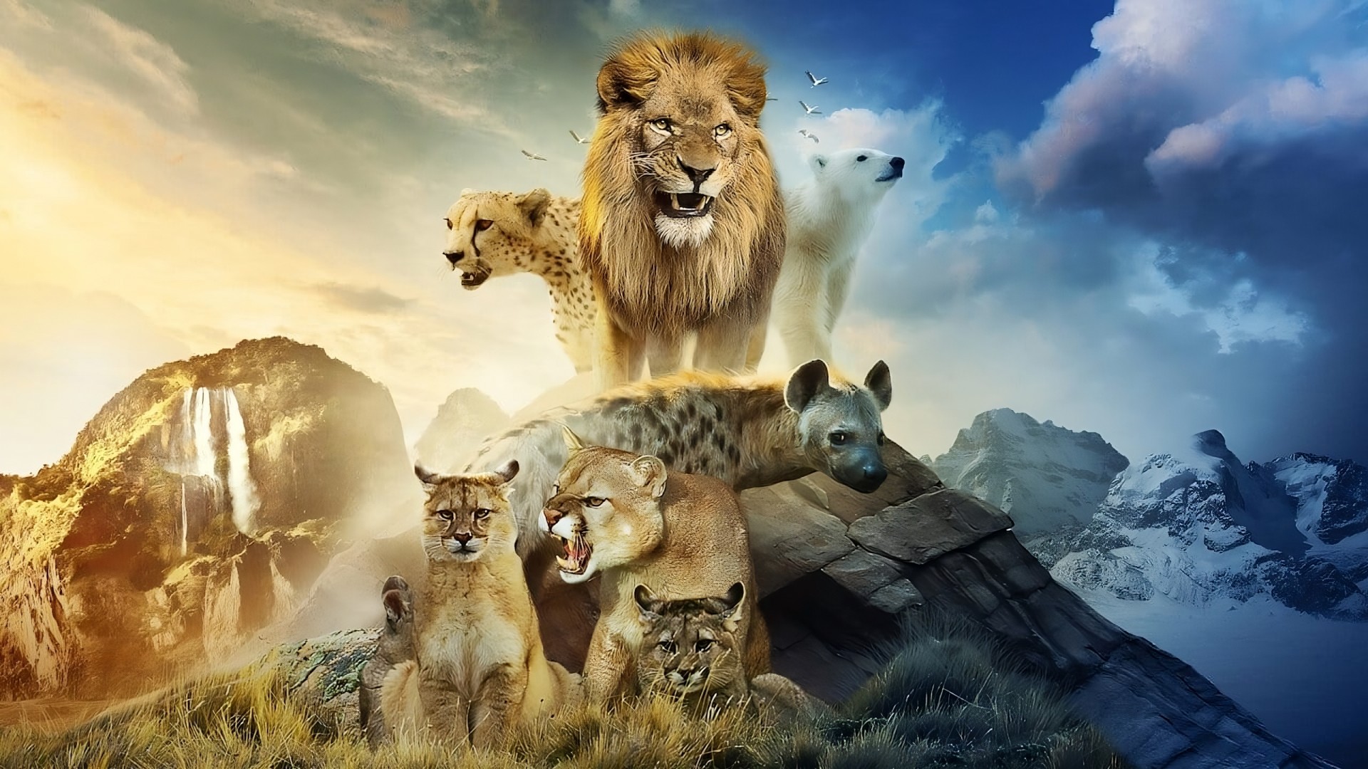 Predators 1. Sezon 1. Bölüm